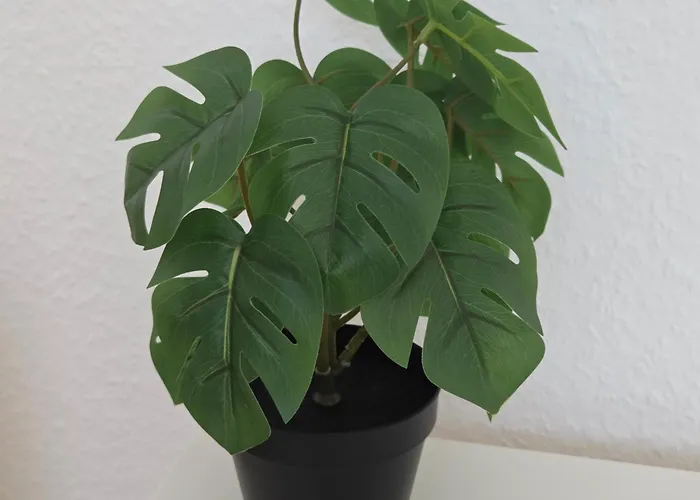 Blue Skies White Line Kiel